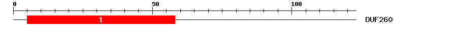 Signature Domain