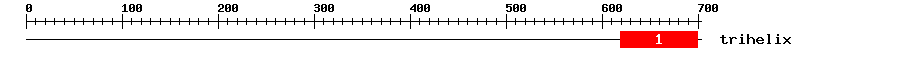 Signature Domain