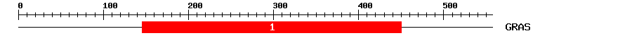 Signature Domain