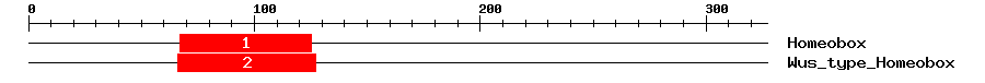 Signature Domain