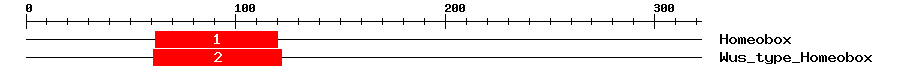 Signature Domain