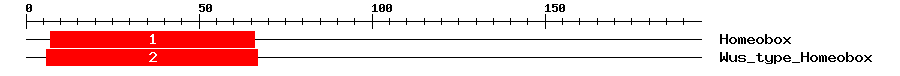 Signature Domain