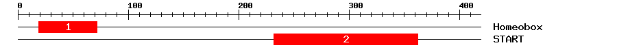 Signature Domain