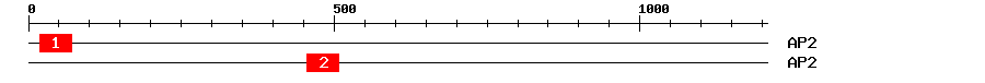 Signature Domain