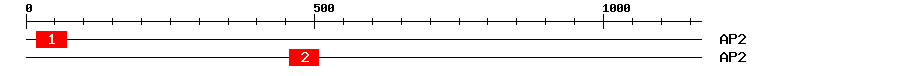 Signature Domain