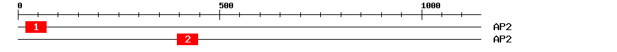 Signature Domain