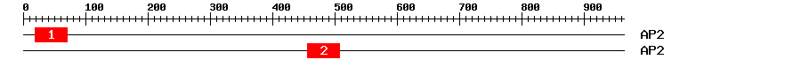Signature Domain
