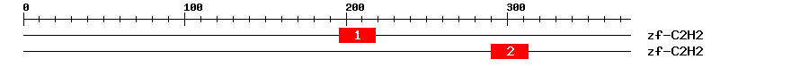 Signature Domain