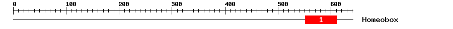 Signature Domain
