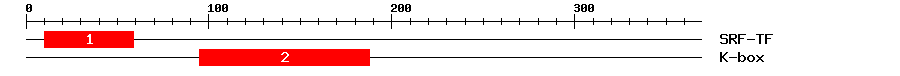 Signature Domain