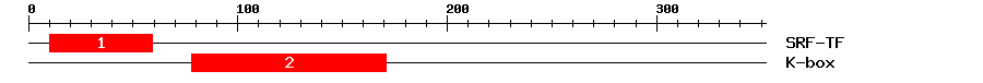 Signature Domain