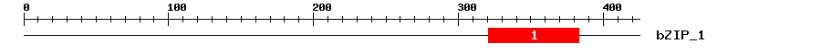 Signature Domain