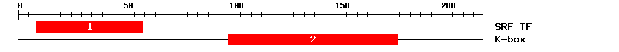 Signature Domain