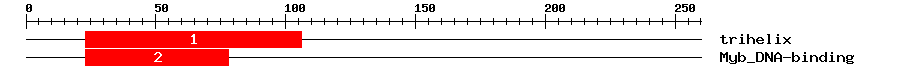 Signature Domain