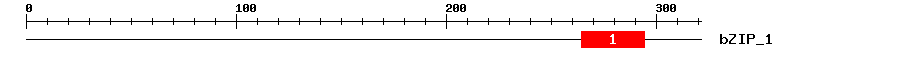 Signature Domain
