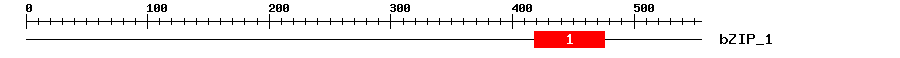 Signature Domain