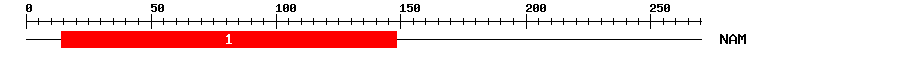 Signature Domain