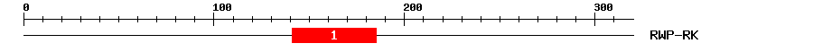 Signature Domain