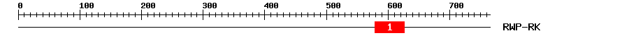 Signature Domain