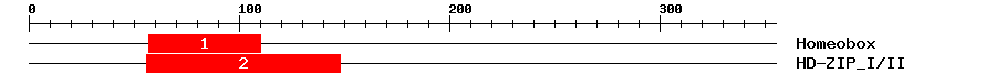 Signature Domain