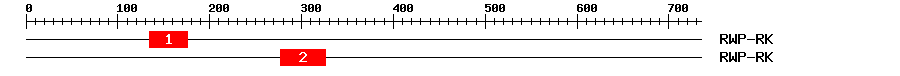 Signature Domain