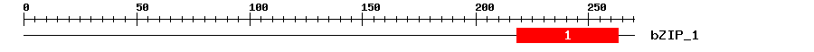Signature Domain