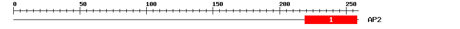 Signature Domain