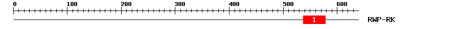 Signature Domain