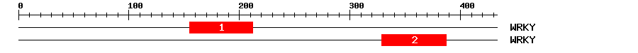 Signature Domain
