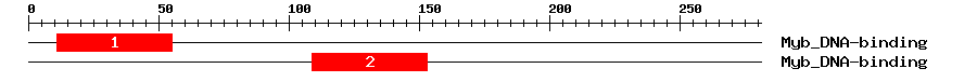 Signature Domain