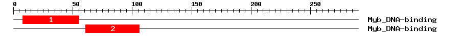 Signature Domain