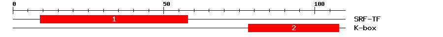 Signature Domain