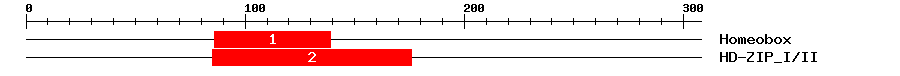 Signature Domain