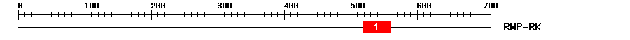 Signature Domain