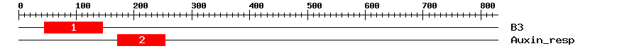 Signature Domain
