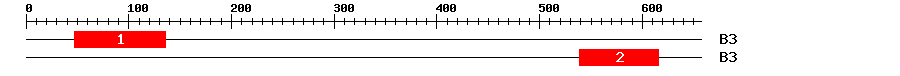 Signature Domain