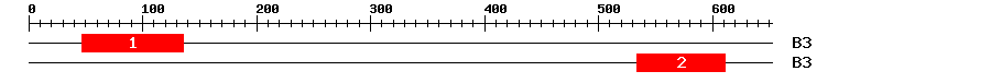 Signature Domain
