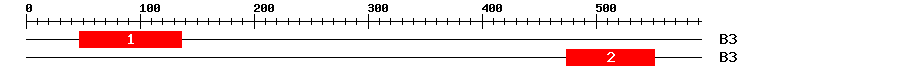 Signature Domain