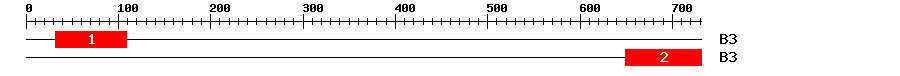 Signature Domain