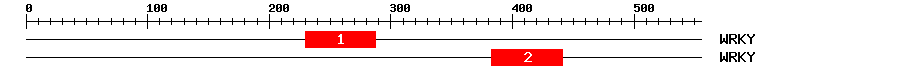 Signature Domain