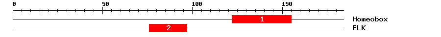 Signature Domain
