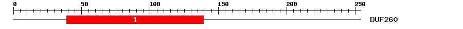 Signature Domain