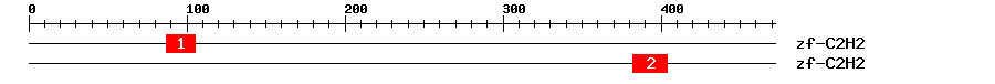 Signature Domain