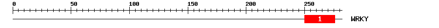 Signature Domain