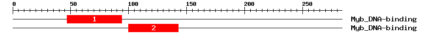 Signature Domain