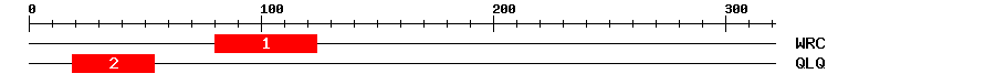 Signature Domain