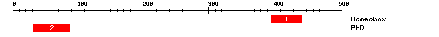 Signature Domain