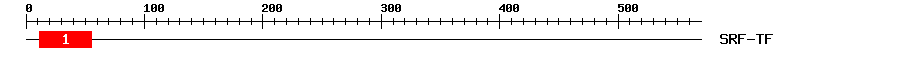 Signature Domain