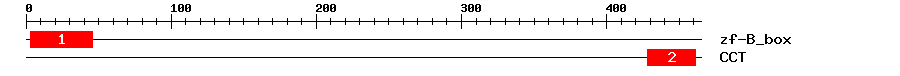 Signature Domain
