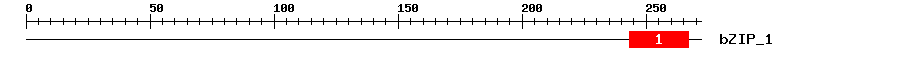 Signature Domain